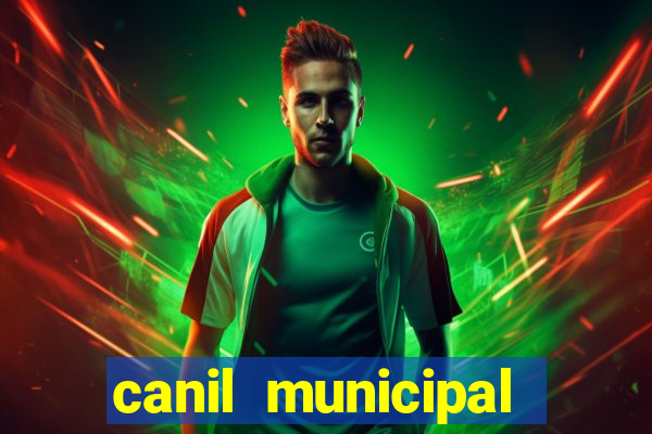 canil municipal porto alegre